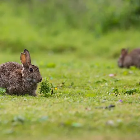 Yorkshire Dales 12 By Together Travel - 3-bed Family Retreat *